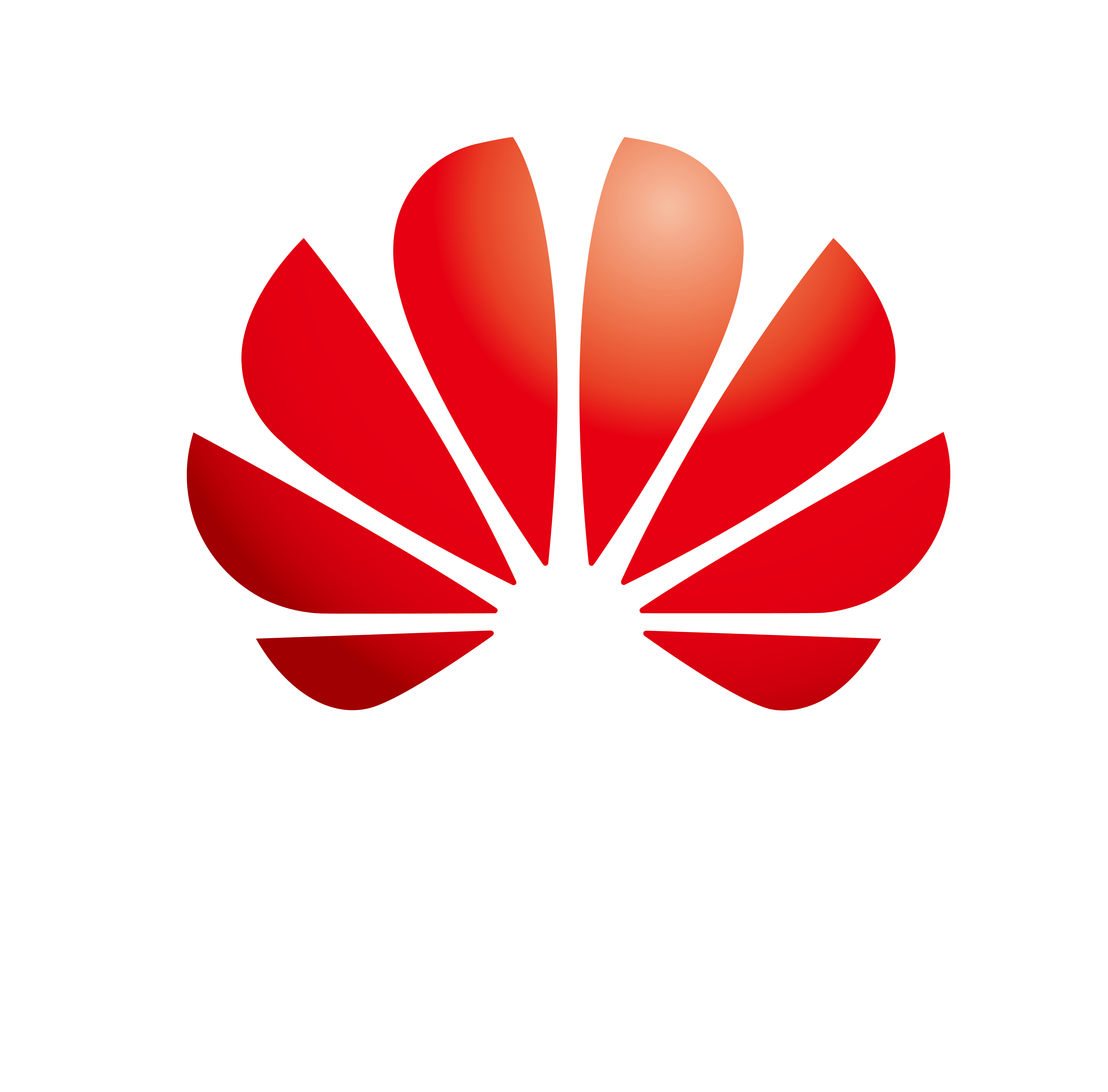 Huawei Digital Power Technologies Co., Ltd